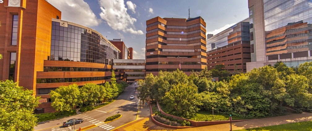 Diversity At Vanderbilt University School Of Medicine | VUMC/VUSM ...