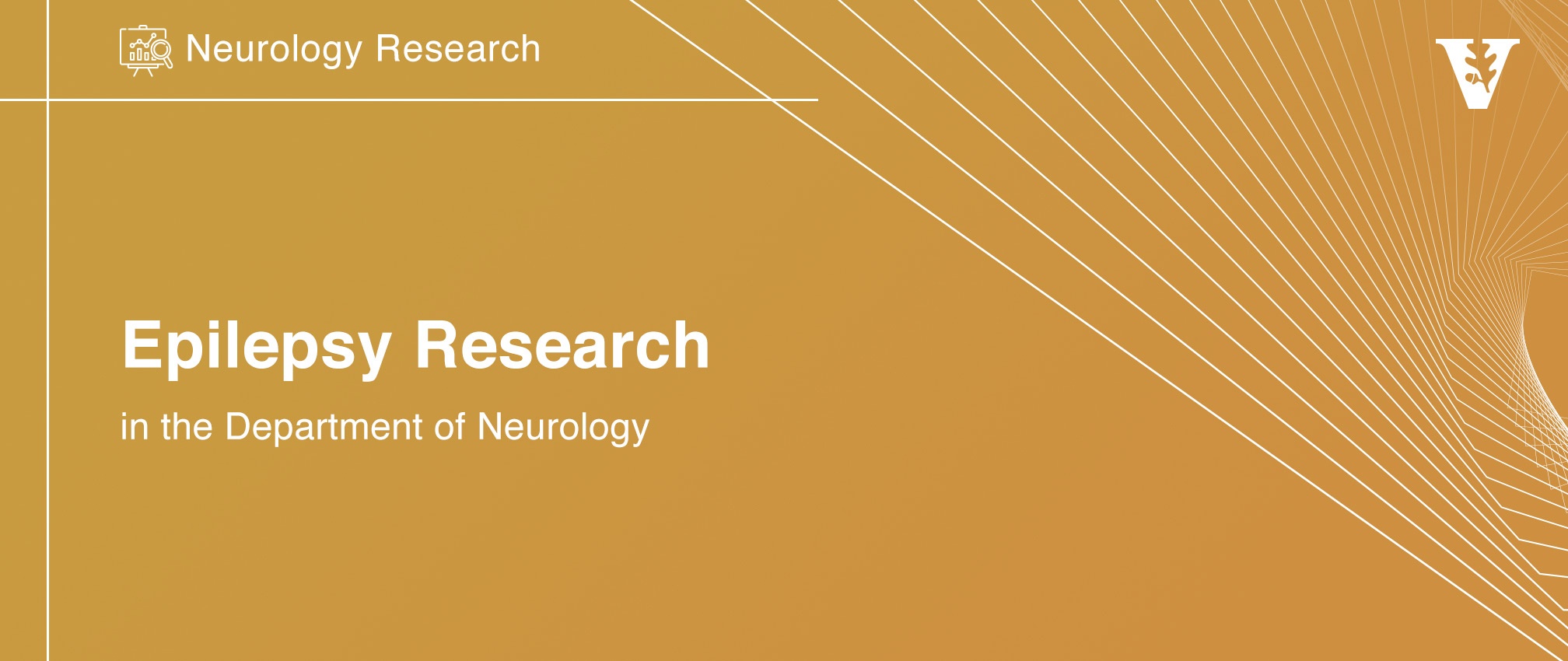 Epilepsy Research | Department Of Neurology