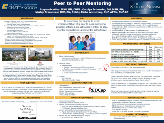 Peer to Peer Mentoring poster