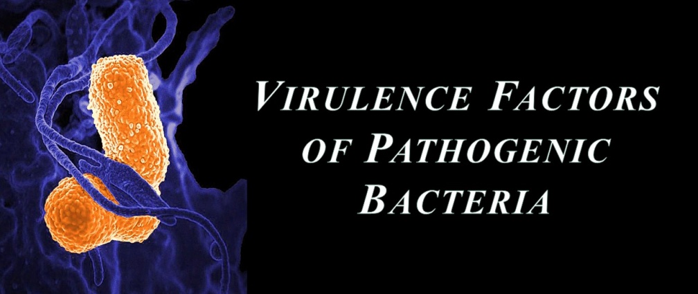 Virulence Factors Of Pathogenic Bacteria | Pathology, Microbiology And ...