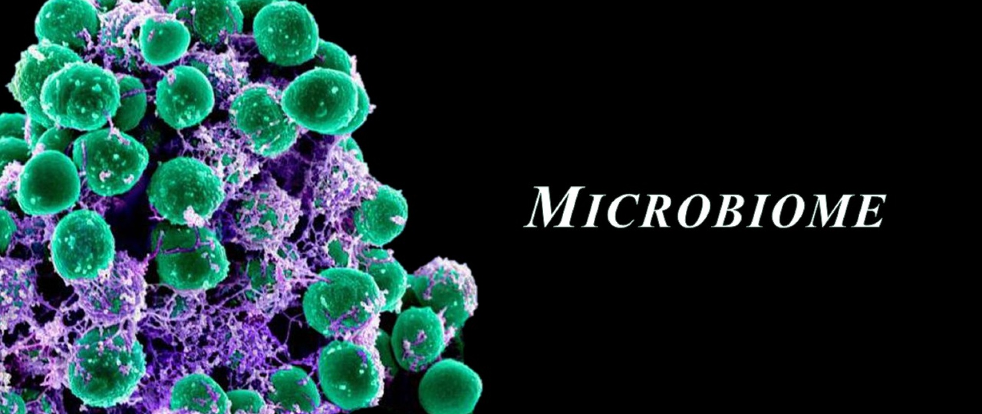 Microbiome | Pathology, Microbiology And Immunology Education