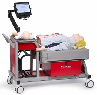 Manikin Cart Photo