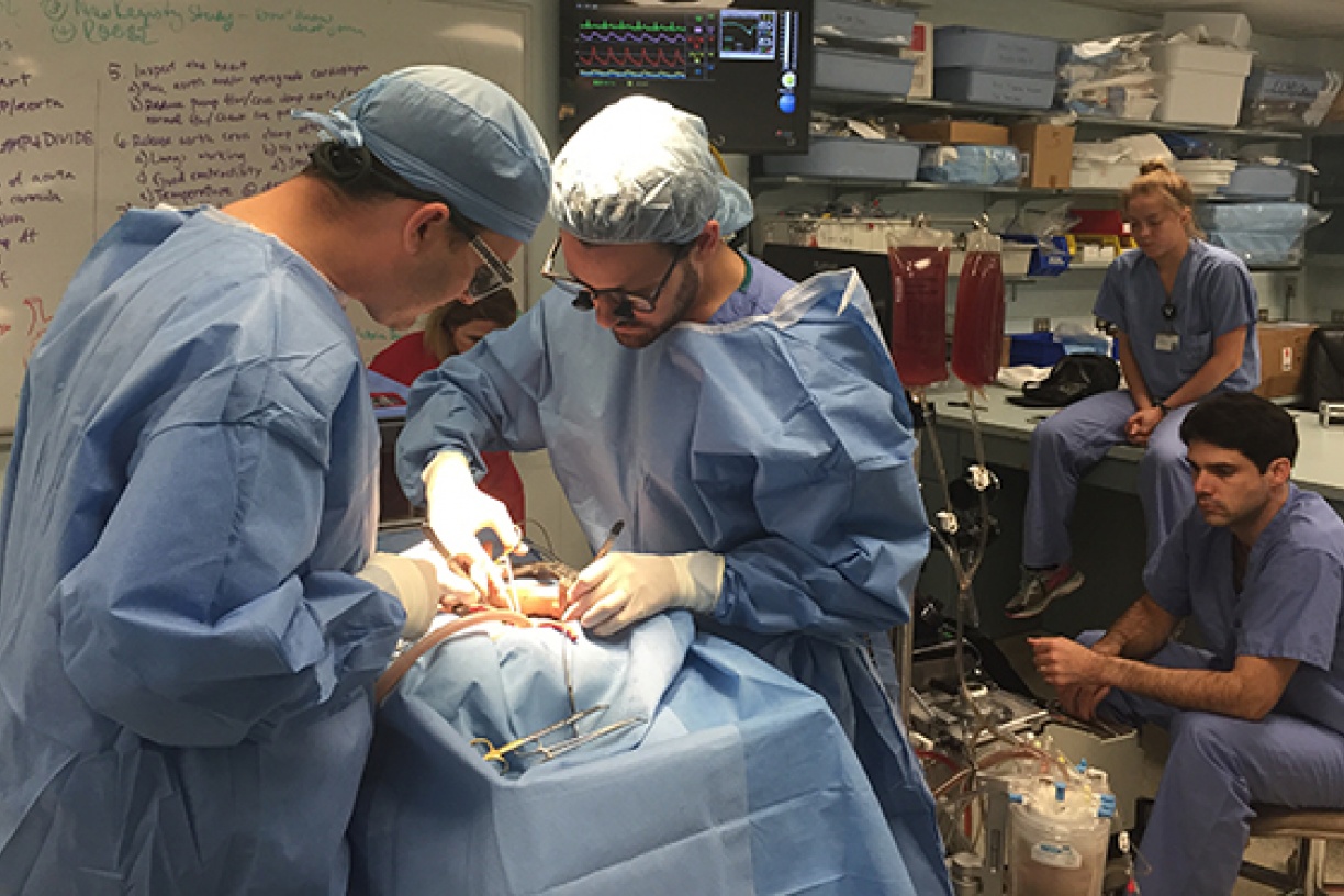 Simulation | Department of Thoracic Surgery