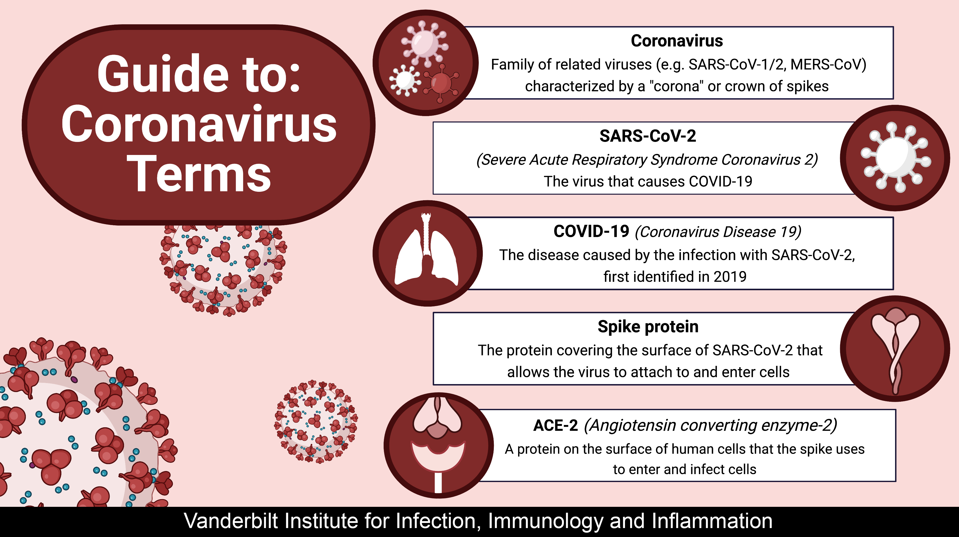 coronavirus essay in english in 250 words pdf download